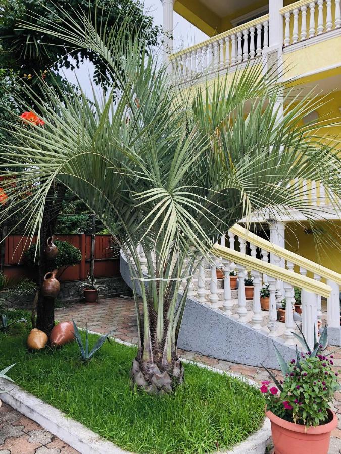 George'S House Otel Kobuleti Dış mekan fotoğraf
